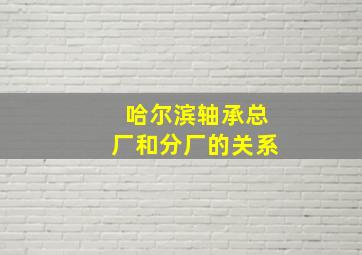 哈尔滨轴承总厂和分厂的关系