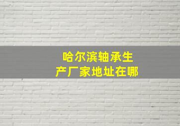 哈尔滨轴承生产厂家地址在哪