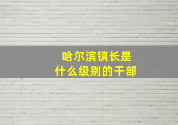 哈尔滨镇长是什么级别的干部