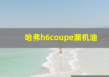 哈弗h6coupe漏机油