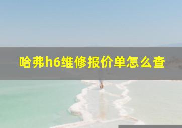 哈弗h6维修报价单怎么查