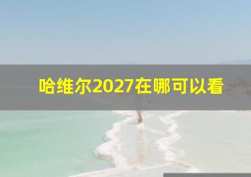 哈维尔2027在哪可以看