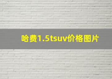 哈费1.5tsuv价格图片