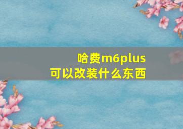 哈费m6plus可以改装什么东西