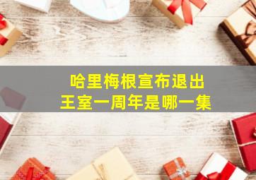 哈里梅根宣布退出王室一周年是哪一集