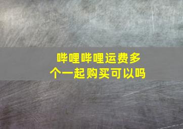 哔哩哔哩运费多个一起购买可以吗