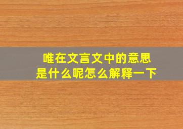 唯在文言文中的意思是什么呢怎么解释一下