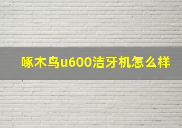 啄木鸟u600洁牙机怎么样