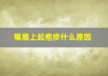 嘴唇上起疱疹什么原因