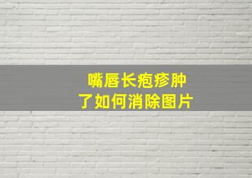 嘴唇长疱疹肿了如何消除图片