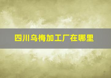 四川乌梅加工厂在哪里