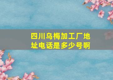 四川乌梅加工厂地址电话是多少号啊