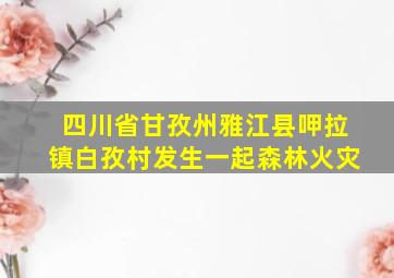 四川省甘孜州雅江县呷拉镇白孜村发生一起森林火灾