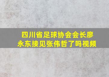 四川省足球协会会长廖永东接见张伟哲了吗视频