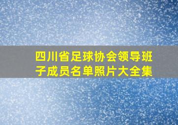 四川省足球协会领导班子成员名单照片大全集