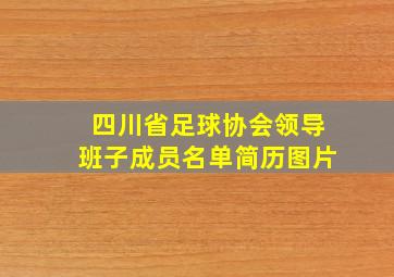 四川省足球协会领导班子成员名单简历图片