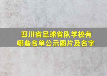 四川省足球省队学校有哪些名单公示图片及名字