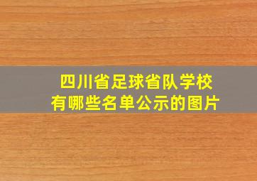 四川省足球省队学校有哪些名单公示的图片