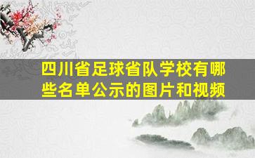 四川省足球省队学校有哪些名单公示的图片和视频