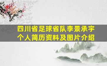 四川省足球省队李景承宇个人简历资料及图片介绍