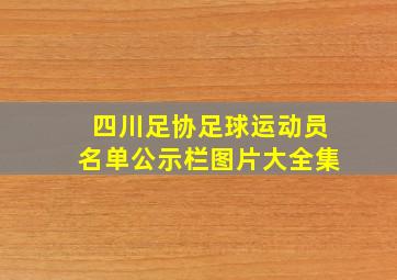 四川足协足球运动员名单公示栏图片大全集