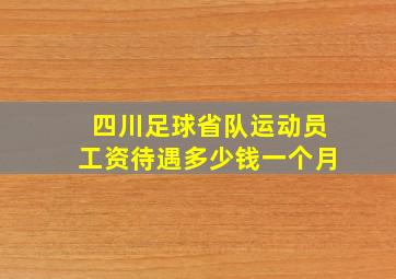 四川足球省队运动员工资待遇多少钱一个月