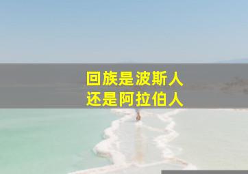 回族是波斯人还是阿拉伯人