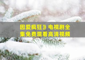 因爱疯狂》电视剧全集免费观看高清视频