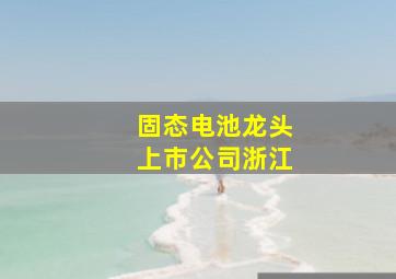 固态电池龙头上市公司浙江