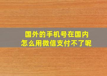 国外的手机号在国内怎么用微信支付不了呢