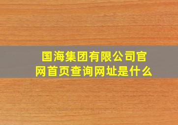 国海集团有限公司官网首页查询网址是什么