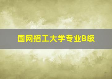 国网招工大学专业B级