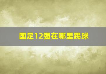 国足12强在哪里踢球