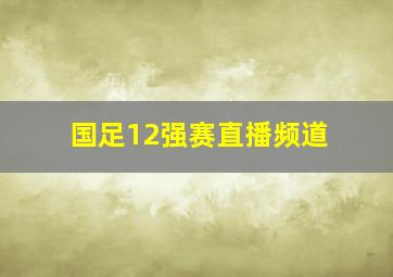 国足12强赛直播频道