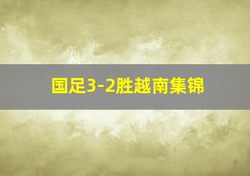 国足3-2胜越南集锦