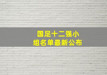 国足十二强小组名单最新公布