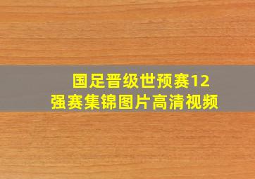 国足晋级世预赛12强赛集锦图片高清视频