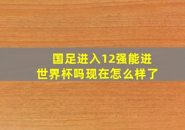 国足进入12强能进世界杯吗现在怎么样了