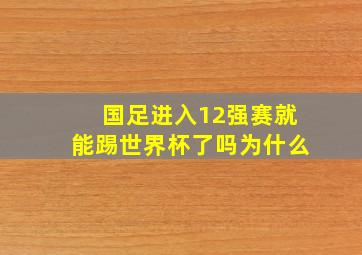 国足进入12强赛就能踢世界杯了吗为什么