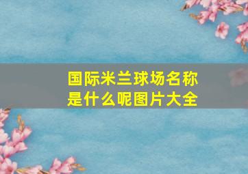 国际米兰球场名称是什么呢图片大全