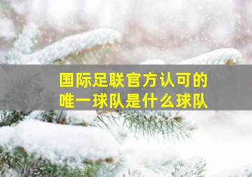 国际足联官方认可的唯一球队是什么球队