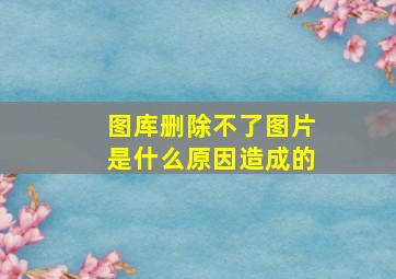 图库删除不了图片是什么原因造成的