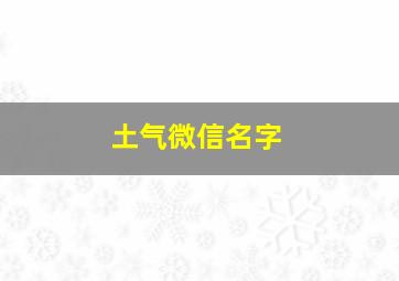 土气微信名字