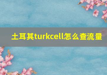 土耳其turkcell怎么查流量