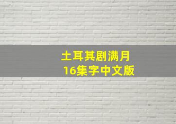 土耳其剧满月16集字中文版