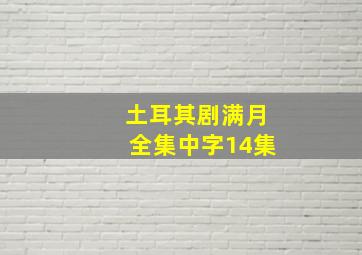 土耳其剧满月全集中字14集