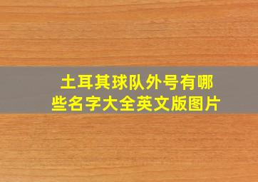 土耳其球队外号有哪些名字大全英文版图片