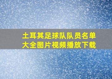 土耳其足球队队员名单大全图片视频播放下载