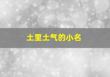 土里土气的小名