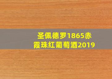 圣佩德罗1865赤霞珠红葡萄酒2019